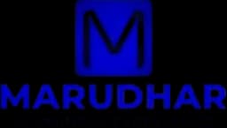 Portfolio company